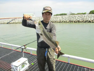 尼崎市立魚つり公園の2023年6月4日(日)2枚目の写真