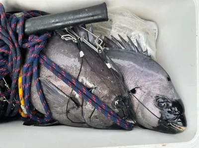 乙島丸の2023年6月6日(火)4枚目の写真