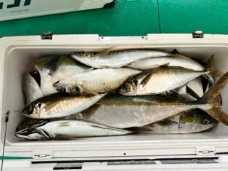 東田丸の2023年6月7日(水)1枚目の写真