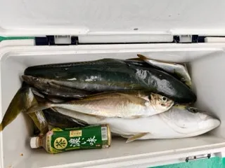 東田丸の2023年6月11日(日)1枚目の写真