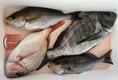 乙島丸の2023年6月19日(月)3枚目の写真