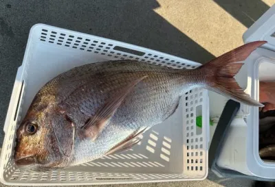 乙島丸の2023年6月21日(水)1枚目の写真