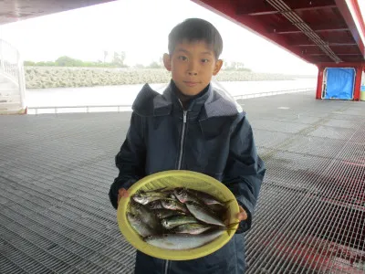 尼崎市立魚つり公園の2023年6月22日(木)1枚目の写真