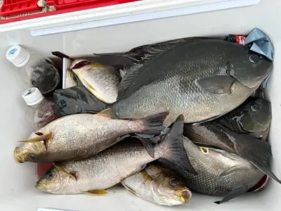 乙島丸の2023年6月26日(月)4枚目の写真