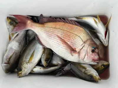 乙島丸の2023年6月26日(月)5枚目の写真