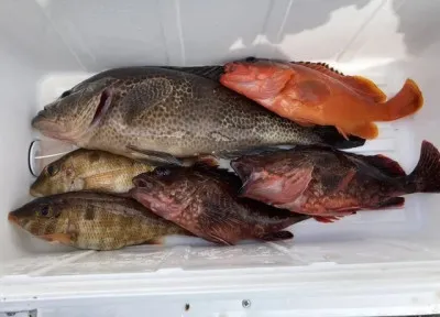 乙島丸の2023年6月28日(水)3枚目の写真