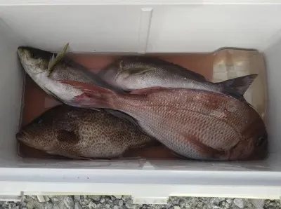 乙島丸の2023年6月30日(金)2枚目の写真