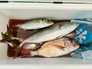 東田丸の2023年7月11日(火)1枚目の写真