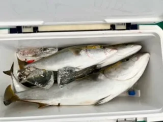 東田丸の2023年7月11日(火)2枚目の写真