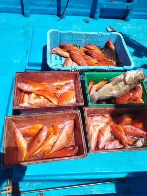 日正丸の2023年7月16日(日)2枚目の写真