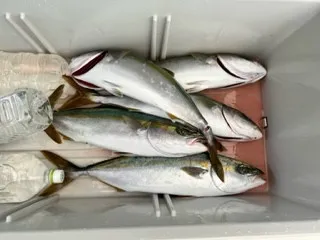 東田丸の2023年7月16日(日)1枚目の写真