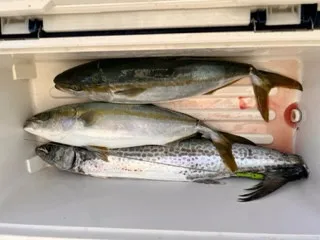 東田丸の2023年7月16日(日)2枚目の写真