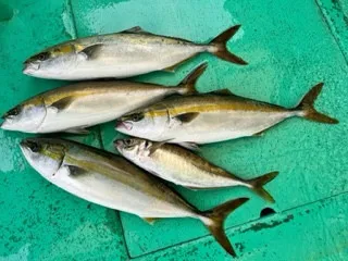 東田丸の2023年7月18日(火)1枚目の写真