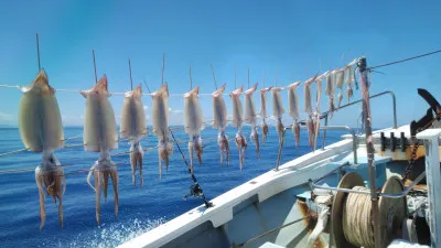 第三 岡安丸の2023年7月24日(月)2枚目の写真