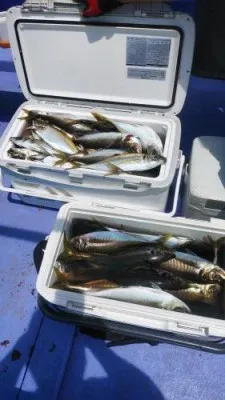 美喜丸の2023年6月7日(水)2枚目の写真