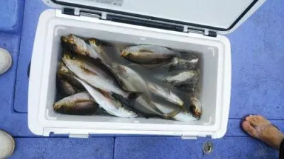 美喜丸の2023年6月10日(土)1枚目の写真