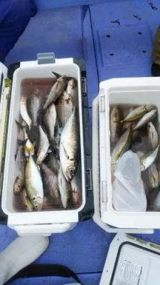 美喜丸の2023年6月10日(土)2枚目の写真