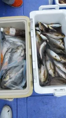 美喜丸の2023年6月11日(日)1枚目の写真