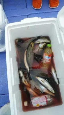 美喜丸の2023年6月11日(日)2枚目の写真