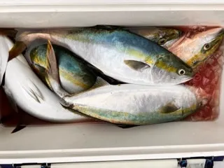 東田丸の2023年8月7日(月)1枚目の写真