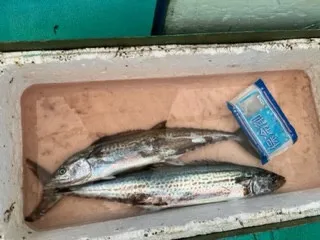 東田丸の2023年8月25日(金)1枚目の写真