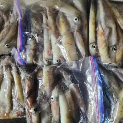 まこと遊漁の2023年8月26日(土)5枚目の写真