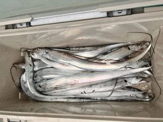 東田丸の2023年9月10日(日)2枚目の写真