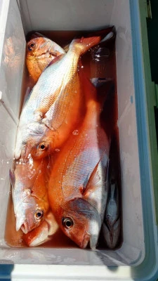 富士丸の2023年8月18日(金)3枚目の写真