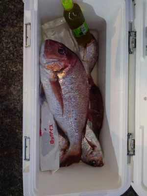 富士丸の2023年8月25日(金)3枚目の写真