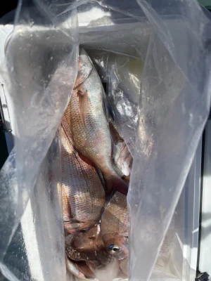 富士丸の2023年8月25日(金)4枚目の写真