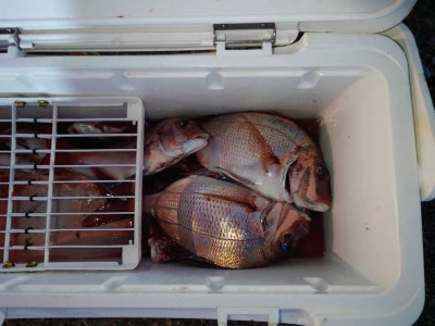 富士丸の2023年8月25日(金)5枚目の写真