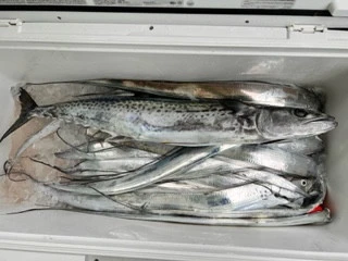 東田丸の2023年9月11日(月)1枚目の写真