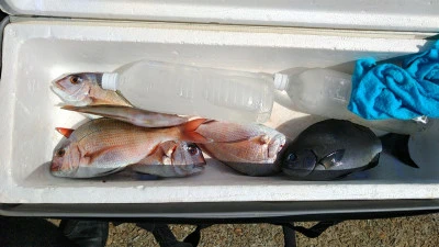 美代志丸の2023年9月13日(水)1枚目の写真