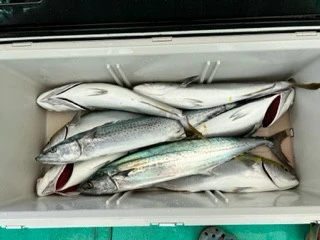 東田丸の2023年9月17日(日)1枚目の写真