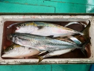 東田丸の2023年9月20日(水)1枚目の写真