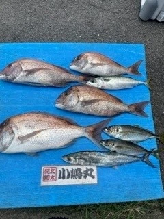 小嶋丸の2023年9月24日(日)1枚目の写真