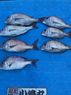 小嶋丸の2023年9月27日(水)1枚目の写真