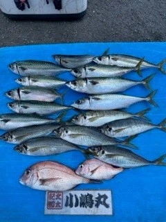 小嶋丸の2023年9月28日(木)1枚目の写真