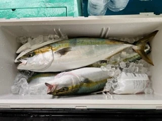 東田丸の2023年10月1日(日)1枚目の写真