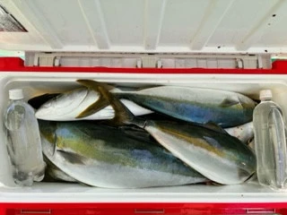 東田丸の2023年10月2日(月)2枚目の写真