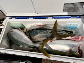 東田丸の2023年10月4日(水)1枚目の写真