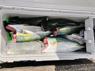 東田丸の2023年10月4日(水)2枚目の写真