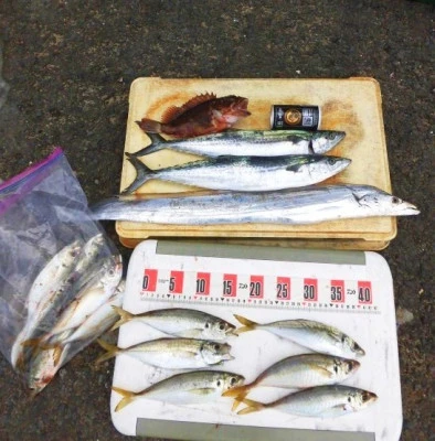 一樹丸の2023年10月14日(土)2枚目の写真