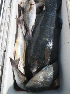 中山総合釣センター・海遊の2023年10月15日(日)3枚目の写真