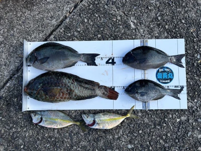 川端渡船の2023年10月28日(土)1枚目の写真