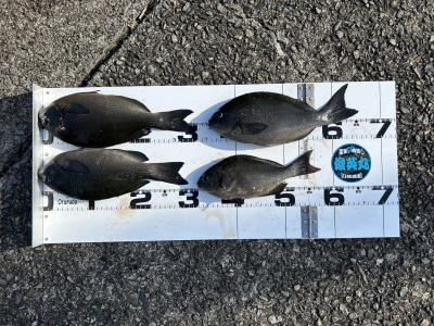 川端渡船の2023年10月28日(土)2枚目の写真