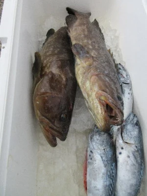 中山総合釣センター・海遊の2023年10月29日(日)5枚目の写真