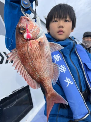 新幸丸の2023年11月11日(土)1枚目の写真