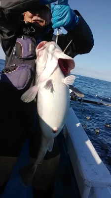 釣りキチ丸の2023年11月15日(水)2枚目の写真