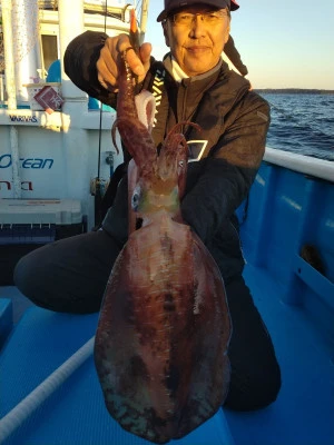 日正丸の2023年11月25日(土)2枚目の写真